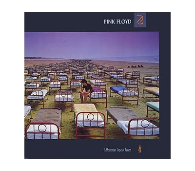 Pink Floyd - A Momentary Lapse Of Reason winyl