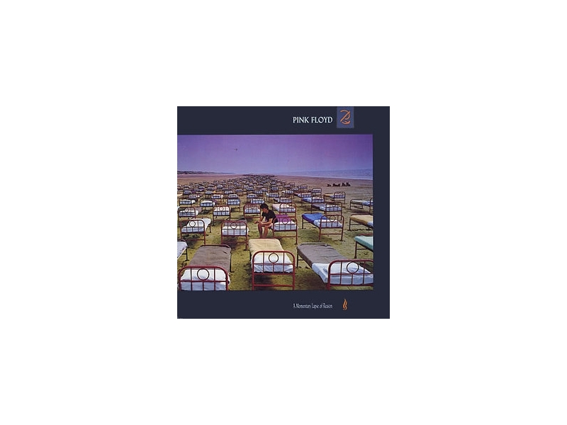 Pink Floyd - A Momentary Lapse Of Reason winyl